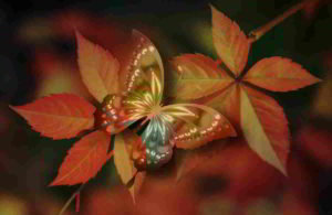 Botanica le origini della vita