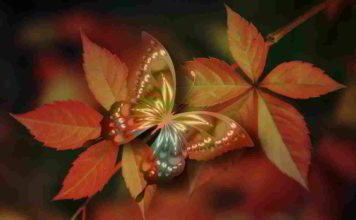 Botanica le origini della vita