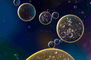 Botanica, la cellula vegetale