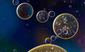 Botanica, la cellula vegetale