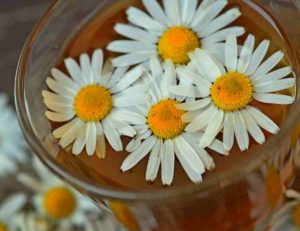 Chamomille, la nostra camomilla