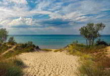 Il fiore Clematis nel DSM-IV