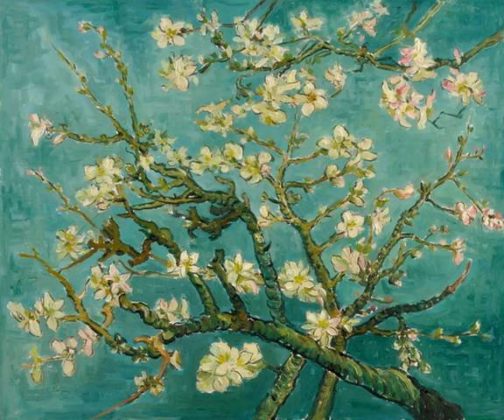 Almond Branches in bloom san remy 1890
