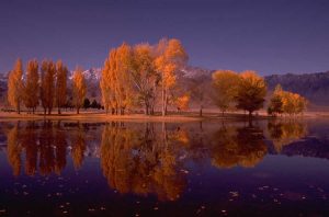 Fiori di Bach e Spiritualità
