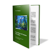 Fiori di Bach sul Cammino dello Spirito