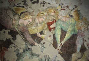 Cherry Plum nel Cammino Spirituale