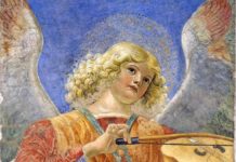 Chicory nel Cammino Spirituale