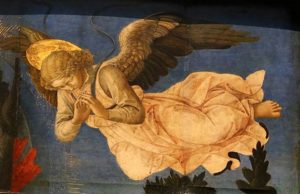 Clematis nel Cammino Spirituale