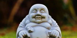 Fiori di Bach e disturbi alimentari