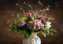 Erboristeria del fiore di Bach Beech