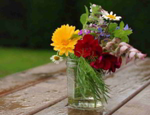 Il fiore di Bach Olive in erboristeria