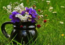 Erboristeria del fiore di Bach Wild Oat