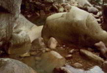 Rock Water fiore di Bach della durezza