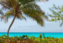 Fiori di Bach nel DSM_IV