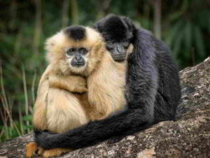 I Disturbi di Personalità