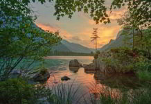 Fiori di Bach nell'insicurezza