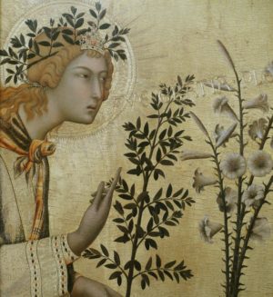 Gentian nel Cammino Spirituale