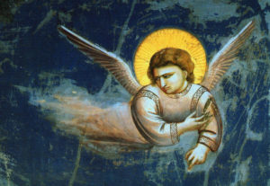 Gorse nel Cammino Spirituale