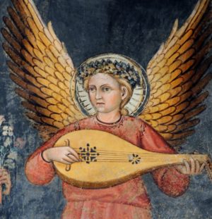 Honeysuckle nel Cammino Spirituale