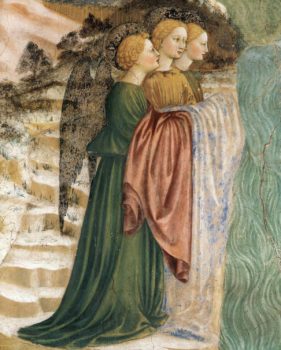 Larch nel Cammino Spirituale