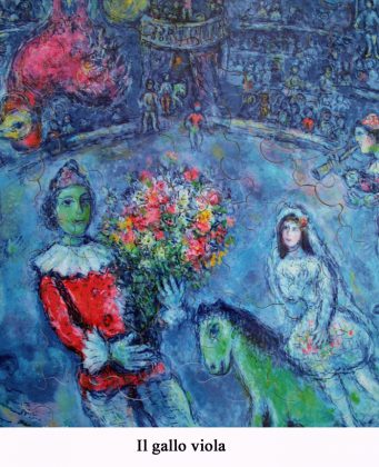 Il gallo viola
