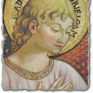 Pine nel Cammino Spirituale