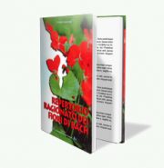 Libro Repertorio Ragionato